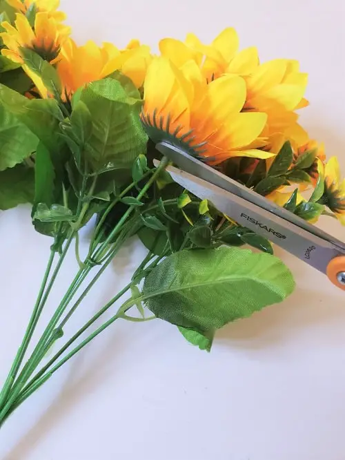 Cutting flower buds